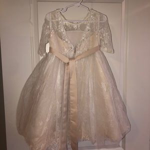Princess Daliana Flowergirl Dress